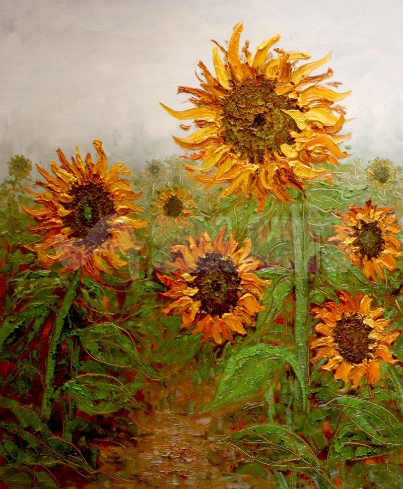 Sunflower Fields Landscape Oil Painting For Sale Soaop0421077by